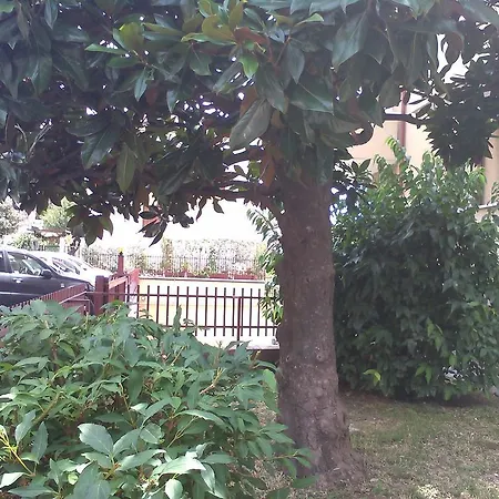 Short Centro Βερόνα