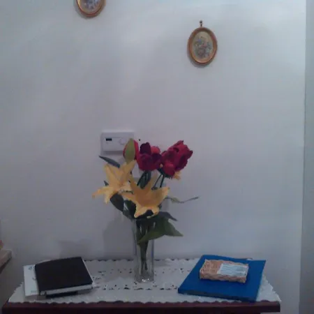Apartament Short Centro